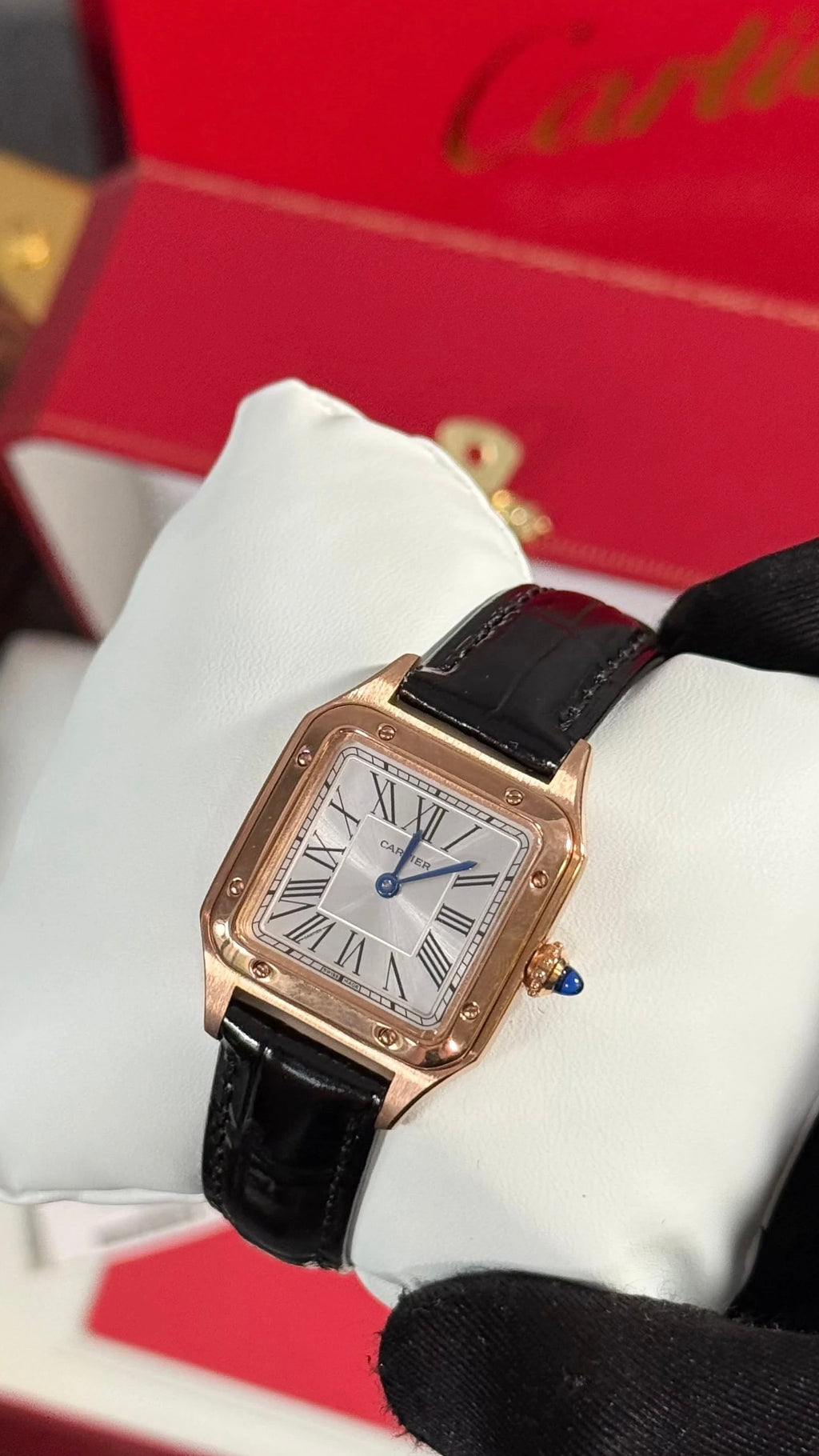 CRTR SANTOS DUMONT NEGRO / ORO / ROSA